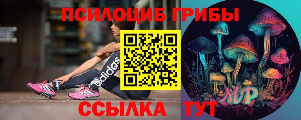 Галлюциногенные грибы прущие грибы Красный Сулин